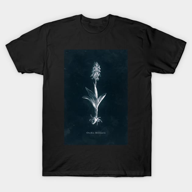 Cyanotype - Orchis Militaris T-Shirt by PixelHunter